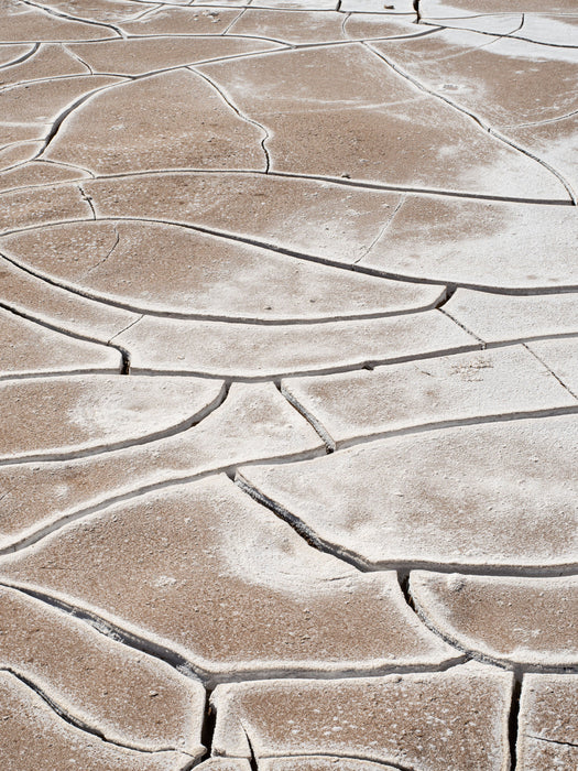 Surface Tension