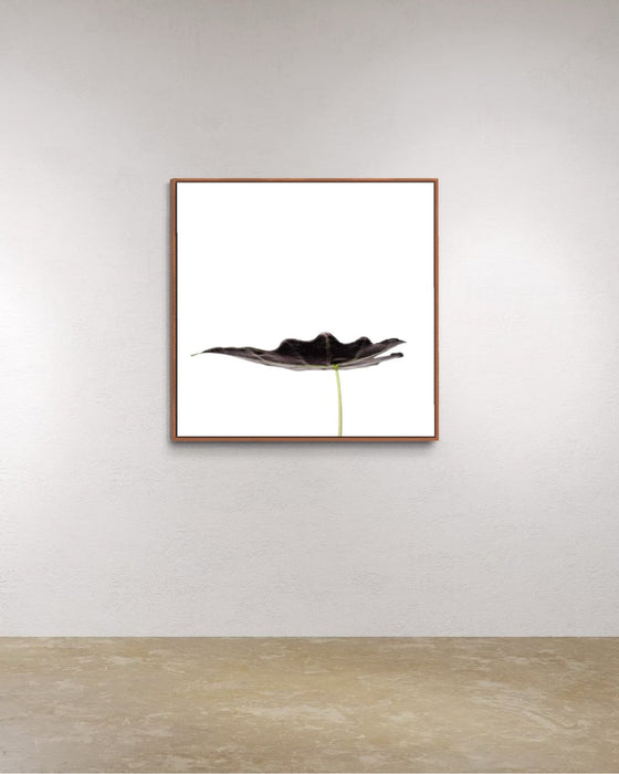 Minimalist Leaf