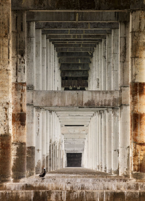 Vanishing Point