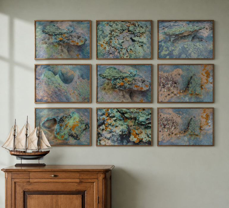 Tidal Terrain 1